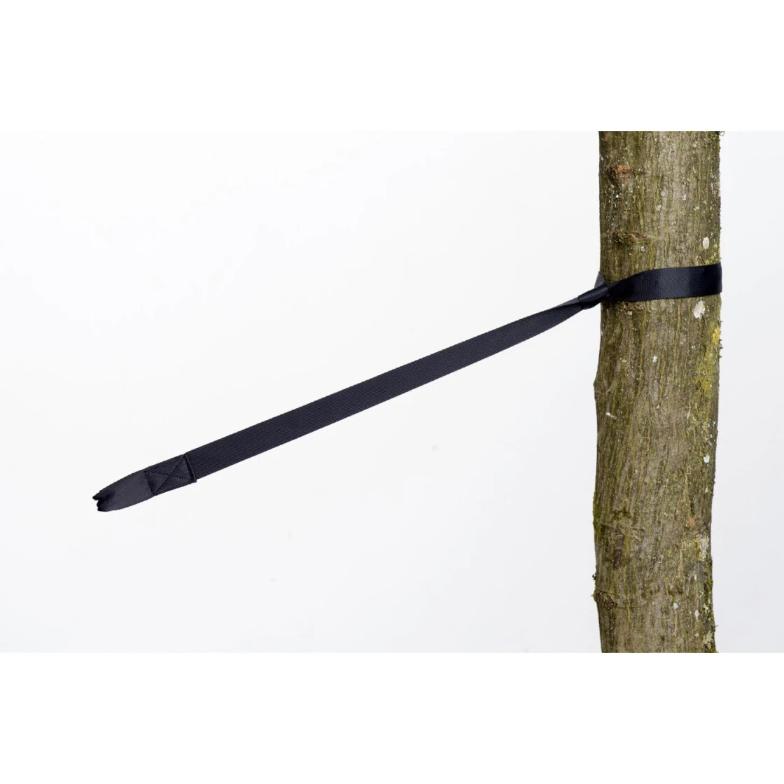 Amazonas Baumschutz 'Tree Hugger' 4 Amazonas Baumschutz 'Tree Hugger' – Bild 2