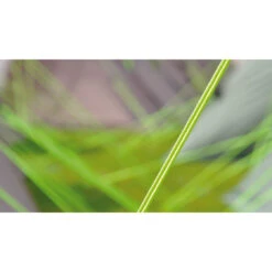 Outwell Zelt 'Cloud' -Freiluft Verkäufe outwell zelt cloud12